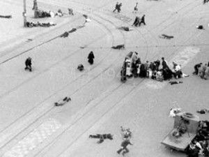 Lees meer over het artikel Willem F. van Breen