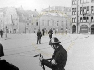 Lees meer over het artikel Tjerk de Boer